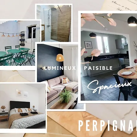 Le Delambre Apartment Perpignan Exterior photo